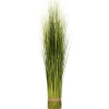 Arranjo de ramos secos verde atados 100cm