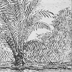 Biombo decorativo preto e branco paisagem CUBA