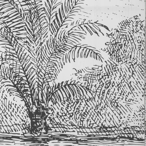 Biombo decorativo preto e branco paisagem CUBA
