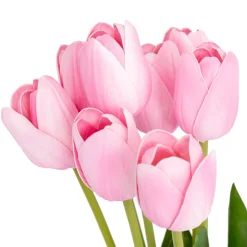 Bouquet com 10 tulipas rosa 48cm