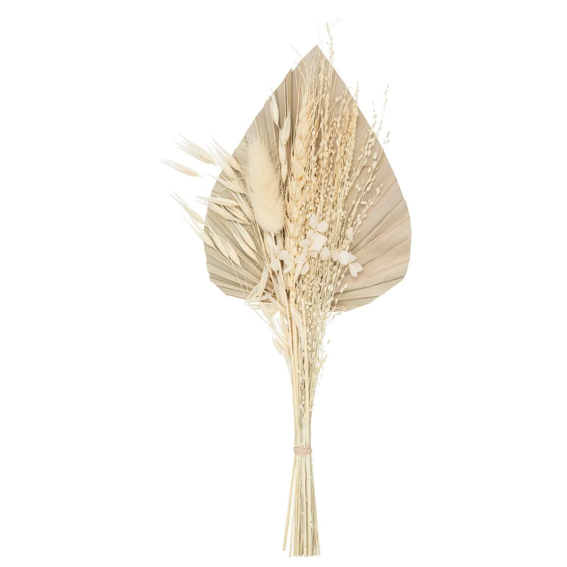 Bouquet de flores secas bege SEA VIEW
