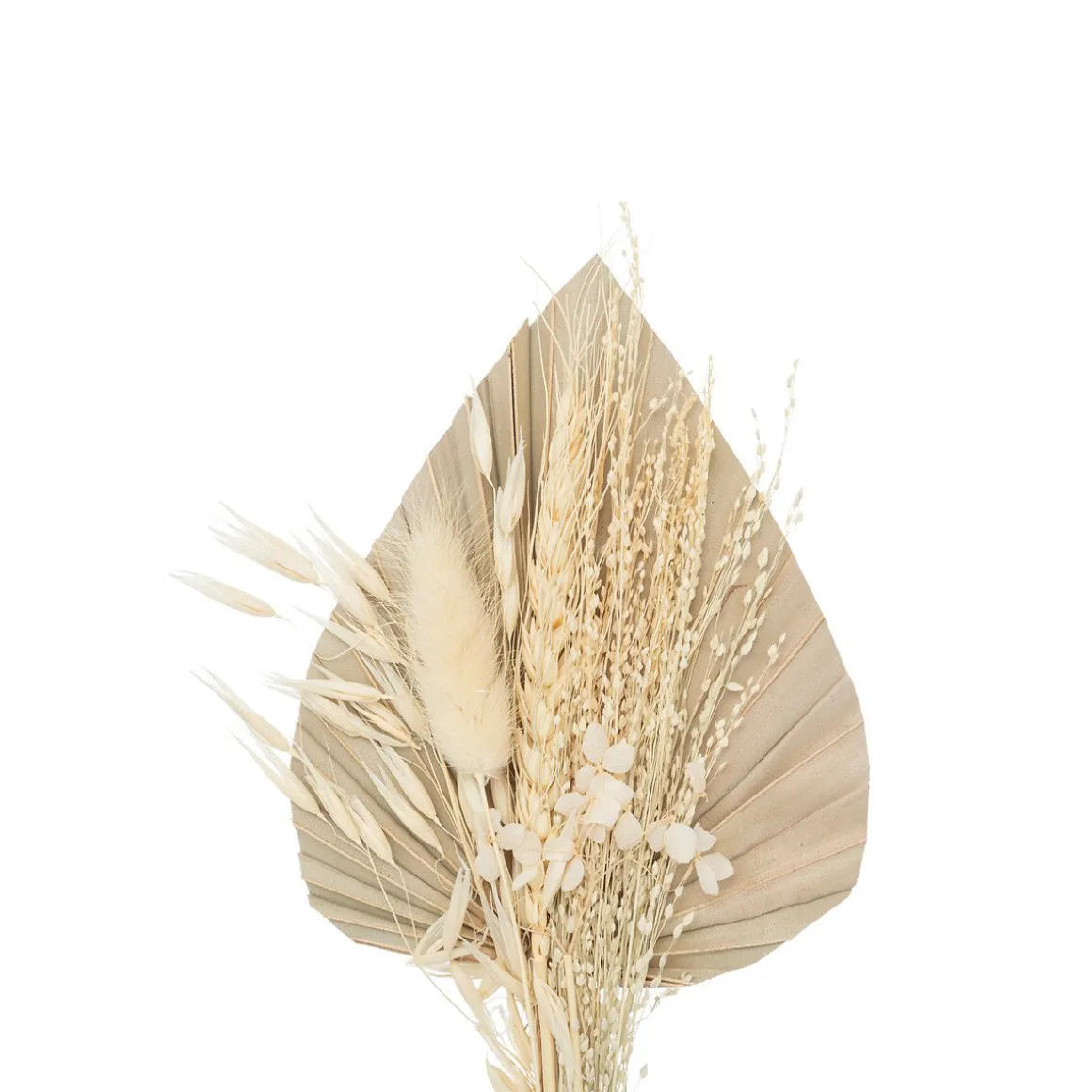 Bouquet de flores secas bege SEA VIEW