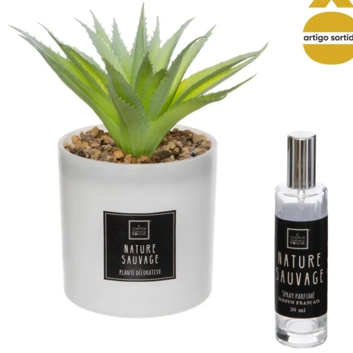 Coffret cato atificial com ambientador