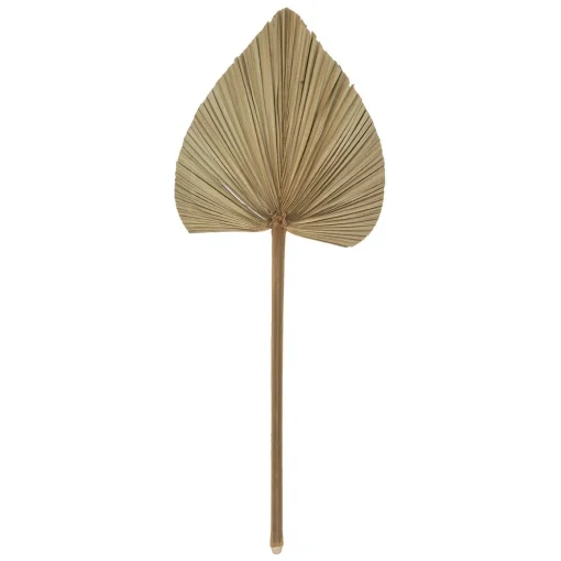 Conjunto de 3 folhas de palmeira verde caqui 70cm