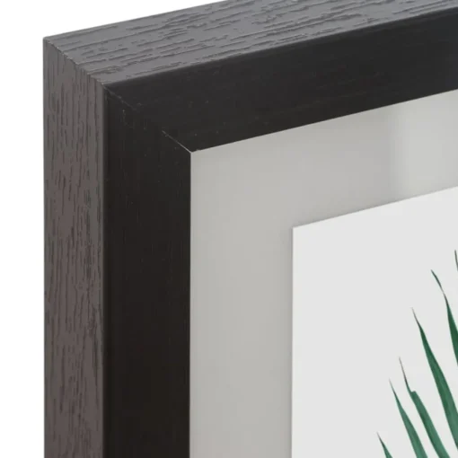 Conjunto de 5 molduras TROPICAL HOME pretas