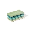 Conjunto de 5 panos de cozinha bege, verde e azul