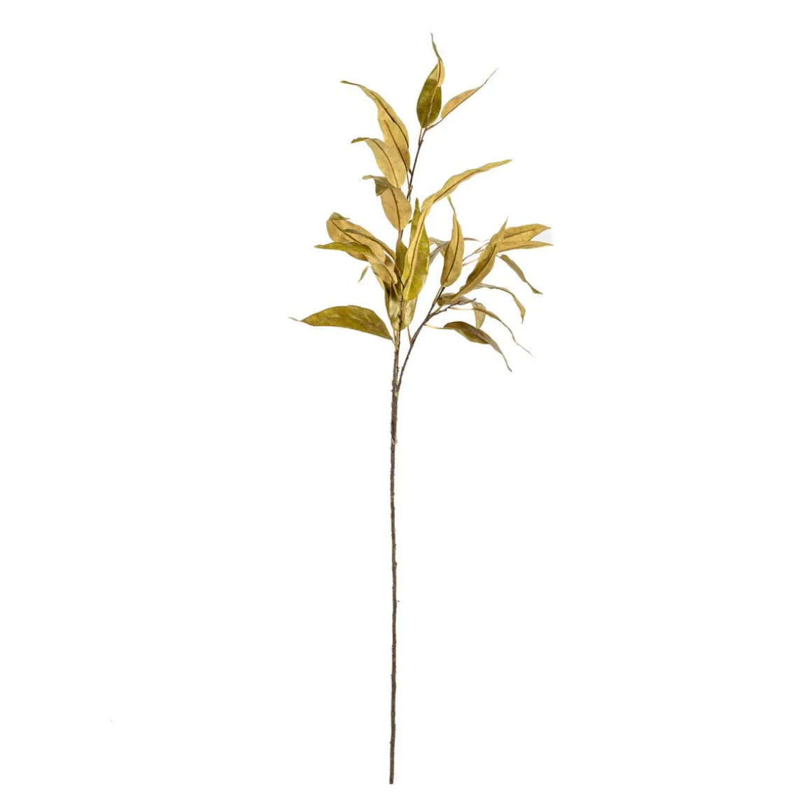 Haste de eucalipto verde 120cm