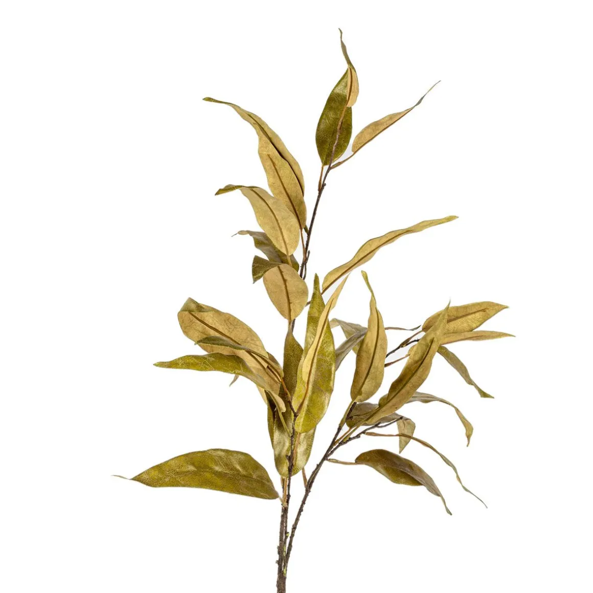 Haste de eucalipto verde 120cm