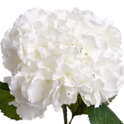 Haste de flor de hortênsia branca artificial