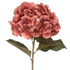 Haste hortênsia ameixa romande gypsy