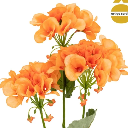 Haste pelargonium 69cm
