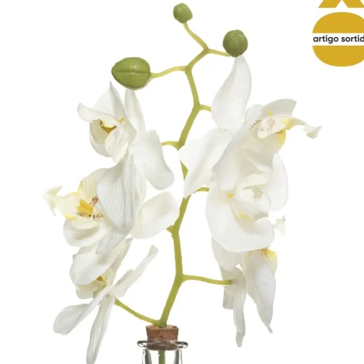 Jarra de vidro com haste orquídea EDI 40cm