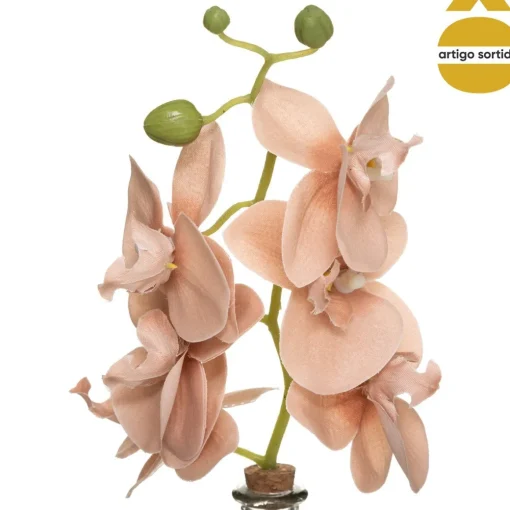 Jarra de vidro com haste orquídea EDI 40cm