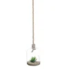 Jarra em vidro suspensa 27cm