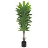Palmeira bambu OLME verde 120cm