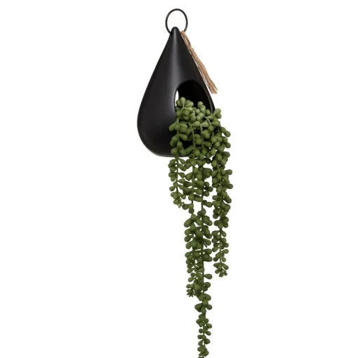 Planta suspensa com vaso de cerâmica