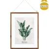 Quadro decorativo folhas 48x38cm