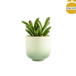 Vasinho de cerâmica com planta artificial