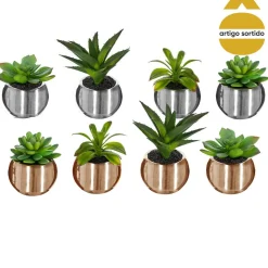 Vaso de cerâmica com planta 13,5cm