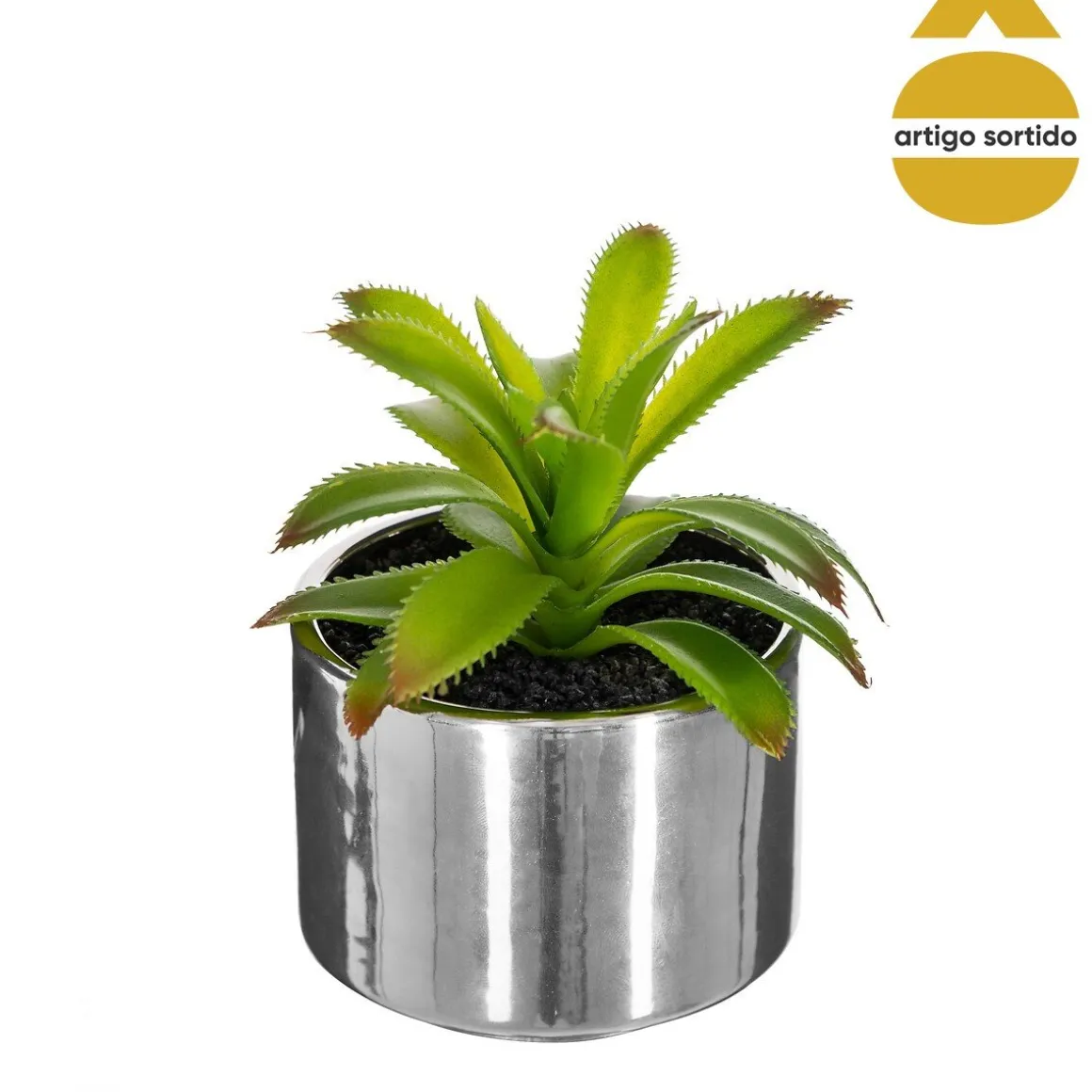 Vaso de cerâmica com planta 13,5cm