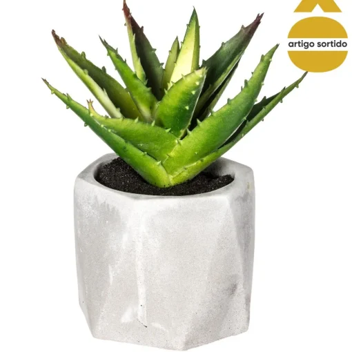 Vaso de cimento com planta 17cm