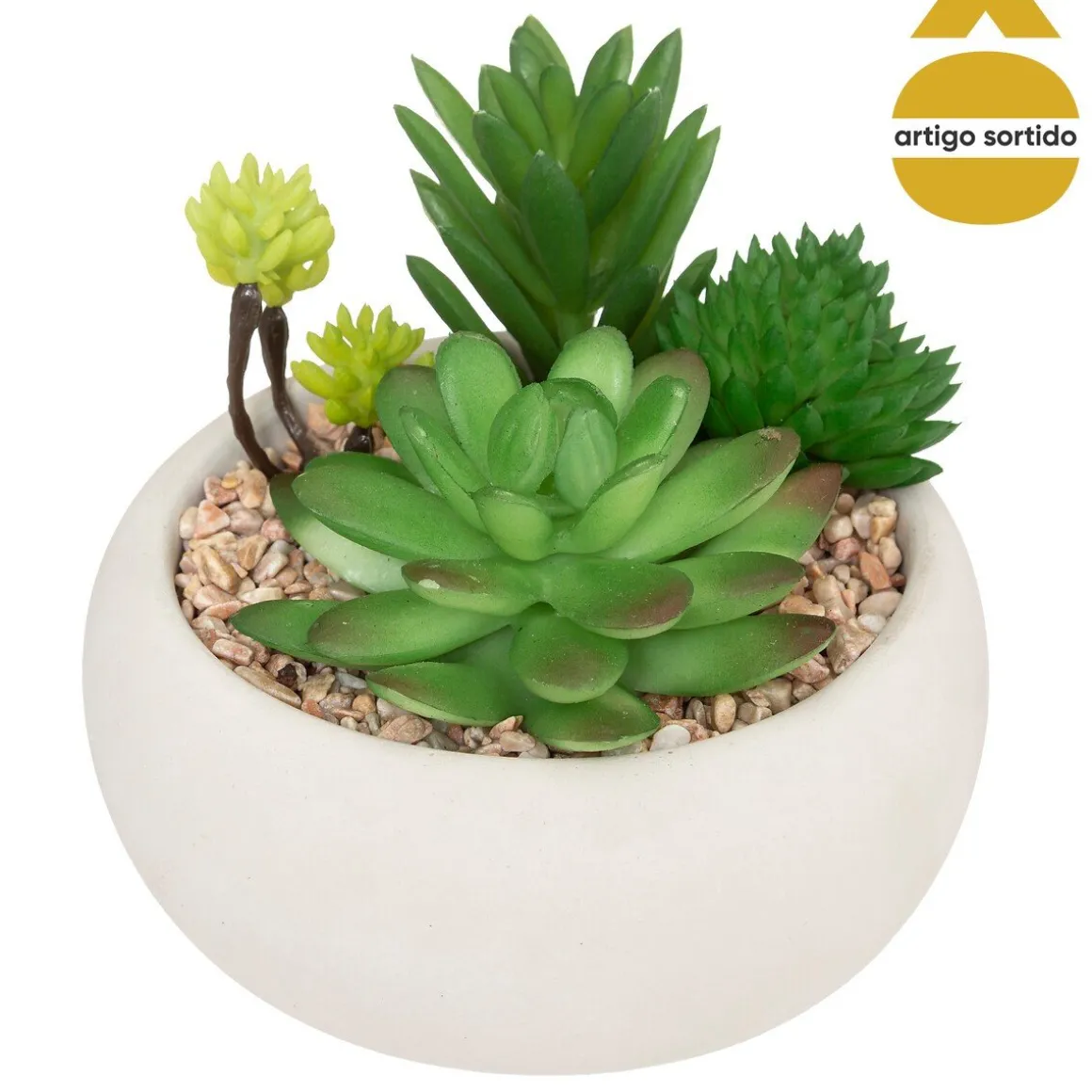 Vaso de cimento com planta 10cm