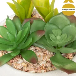 Vaso de cimento com planta 10cm