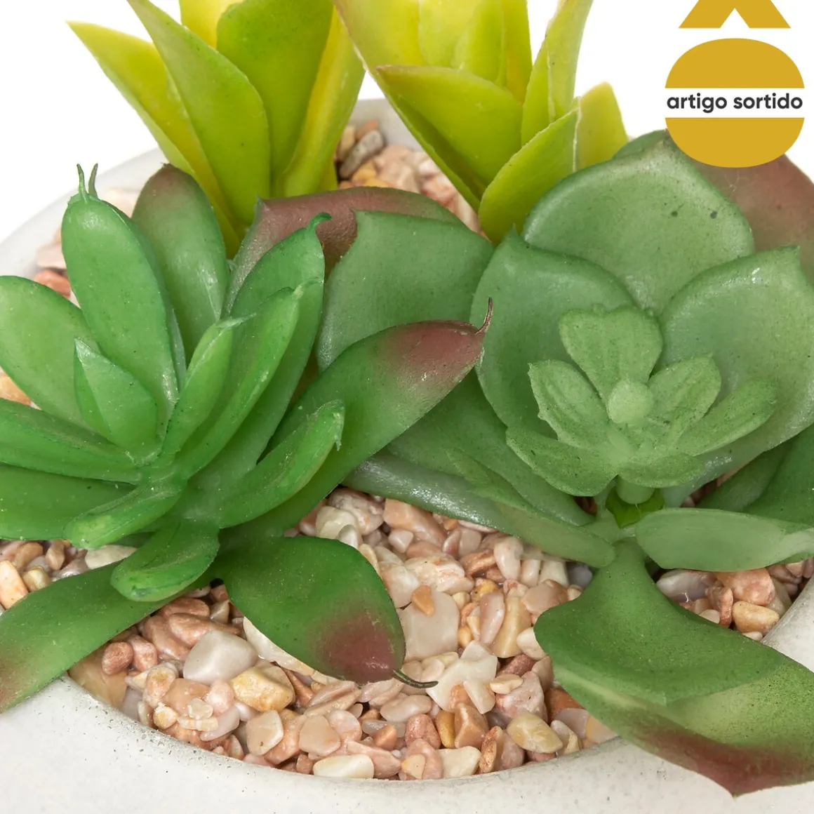 Vaso de cimento com planta 10cm