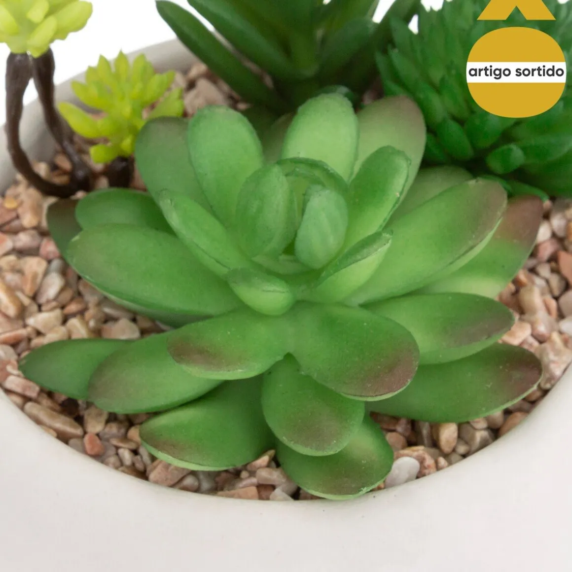 Vaso de cimento com planta 10cm