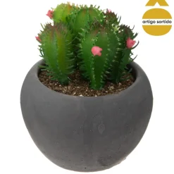 Vaso de cimento preto com cato 8cm