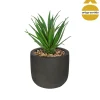 Vaso de cimento preto com planta 20cm