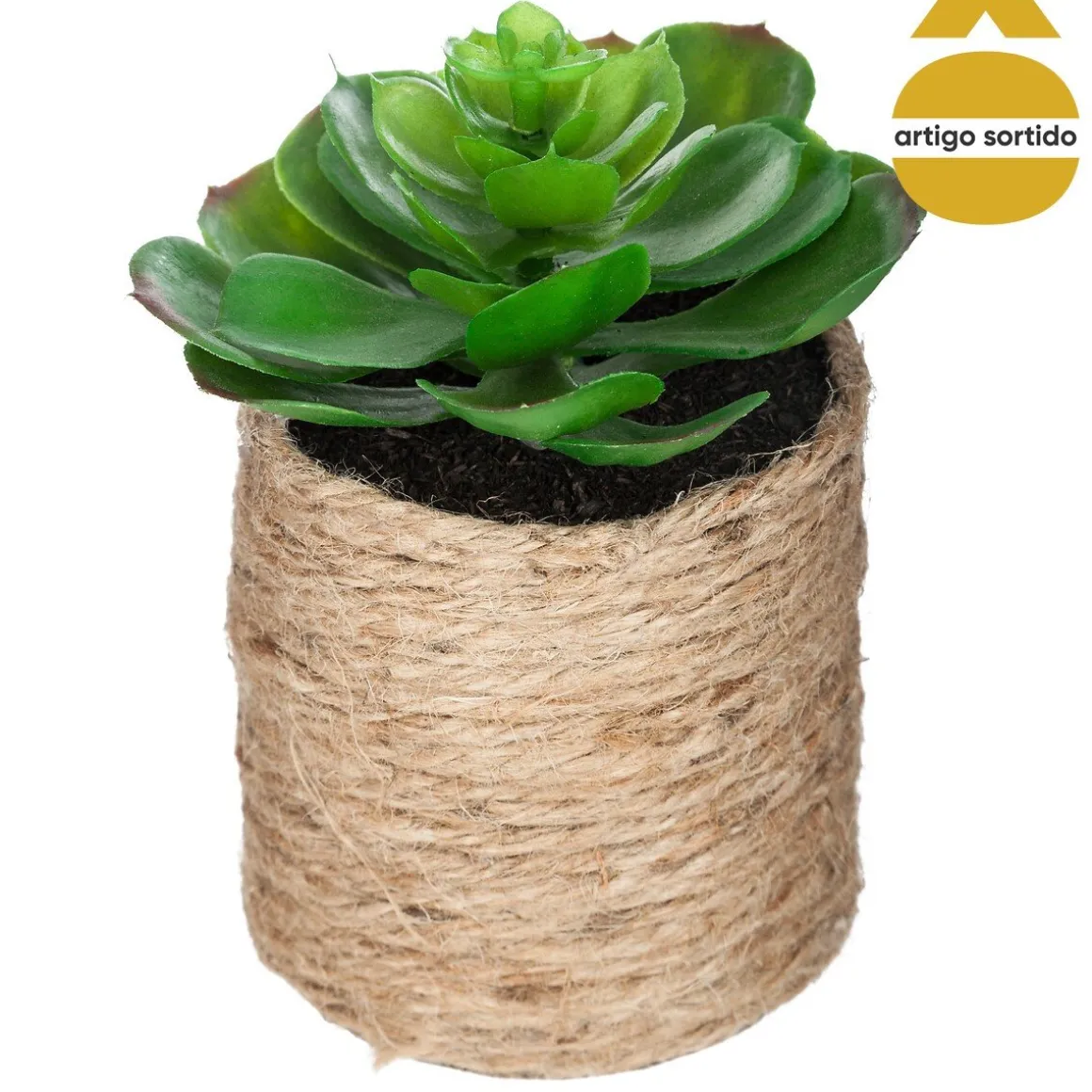 Vaso de corda com planta 15cm
