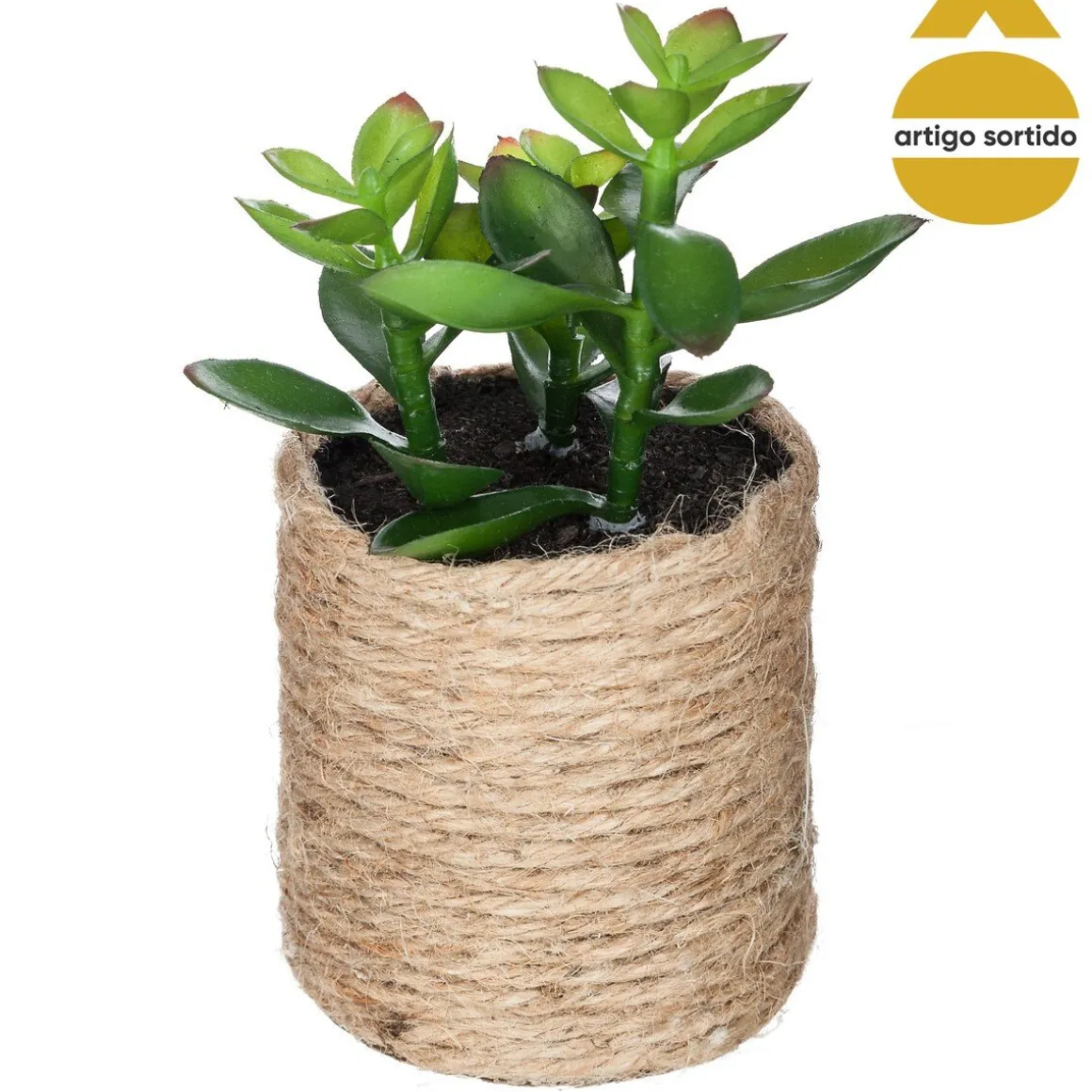 Vaso de corda com planta 15cm