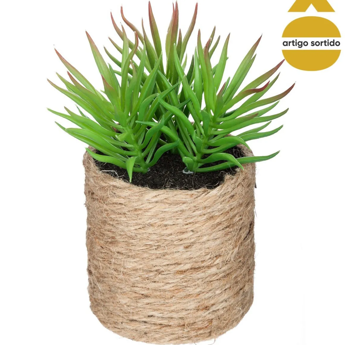 Vaso de corda com planta 15cm