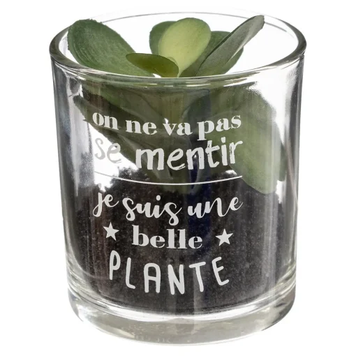 Vaso de vidro com planta 9,5x7cm