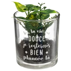 Vaso de vidro com planta 9,5x7cm