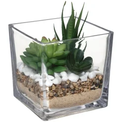 Vaso de vidro com planta 15cm
