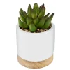 Vaso em cerâmica com suculenta 12cm