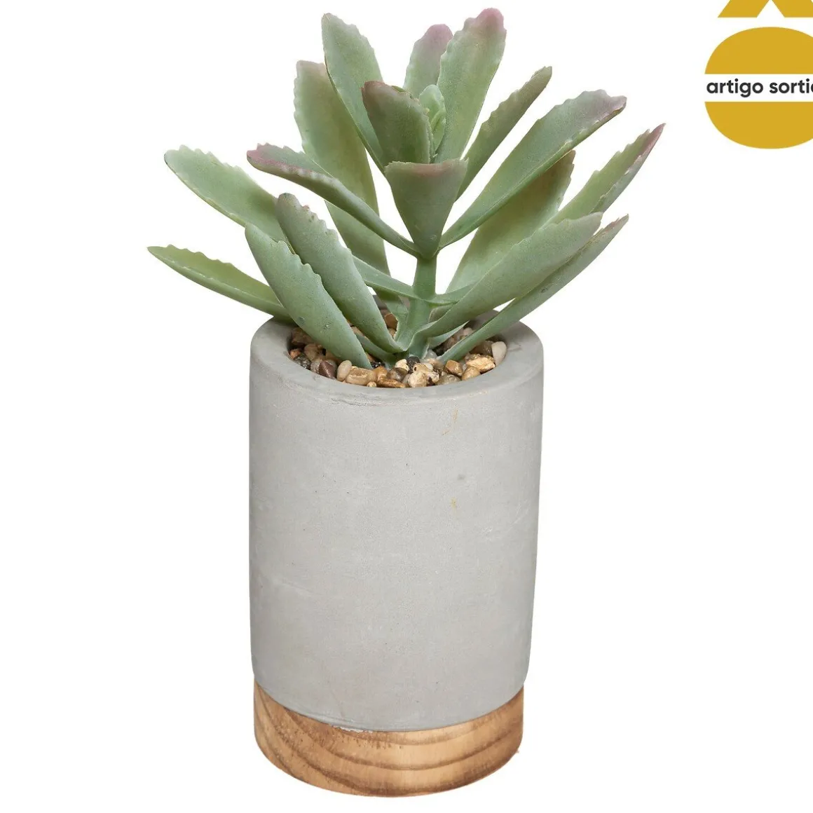 Vaso em cimento WILD com suculenta 20cm