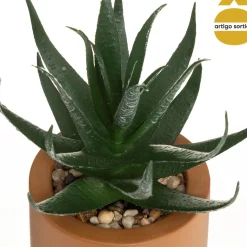 Vaso em cimento WILD com suculenta 20cm