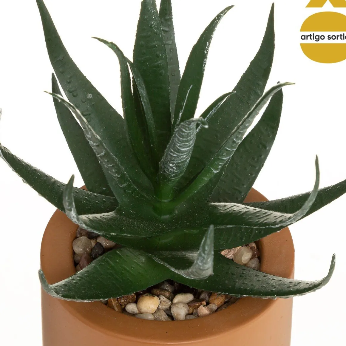 Vaso em cimento WILD com suculenta 20cm