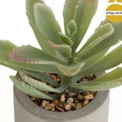 Vaso em cimento WILD com suculenta 20cm