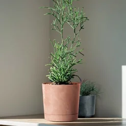 Vaso TUBO efeito betão terracota 33cm