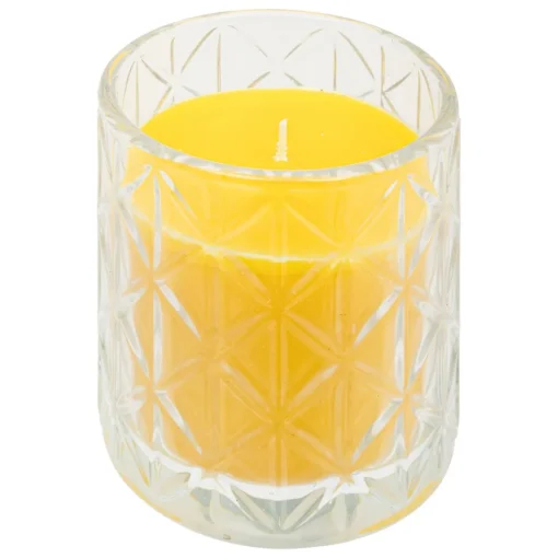 Vela citronela em copo com tampa 90g