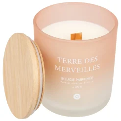 Vela perfumada terre des merveilles SANA 255g