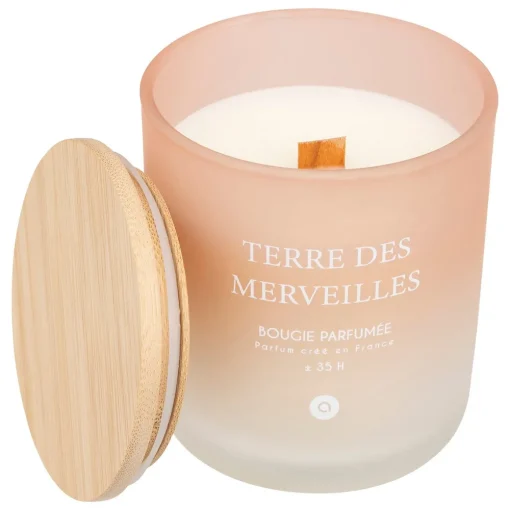 Vela perfumada terre des merveilles SANA 255g