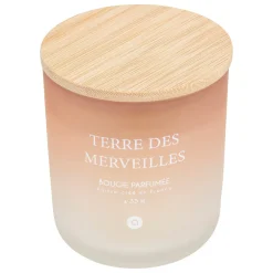 Vela perfumada terre des merveilles SANA 255g