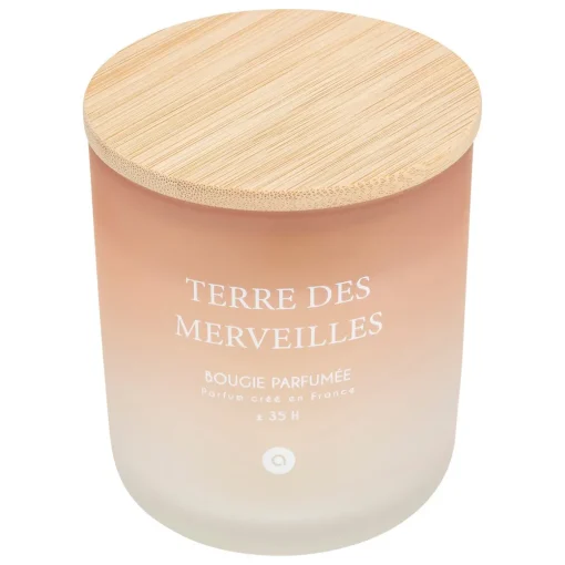 Vela perfumada terre des merveilles SANA 255g